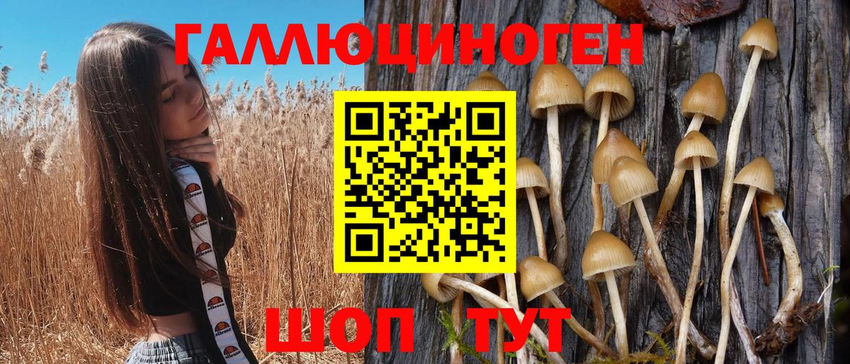 где купить наркоту  Вход с VPN  Ишимбай  Псилоцибиновые грибы Psilocybine cubensis 